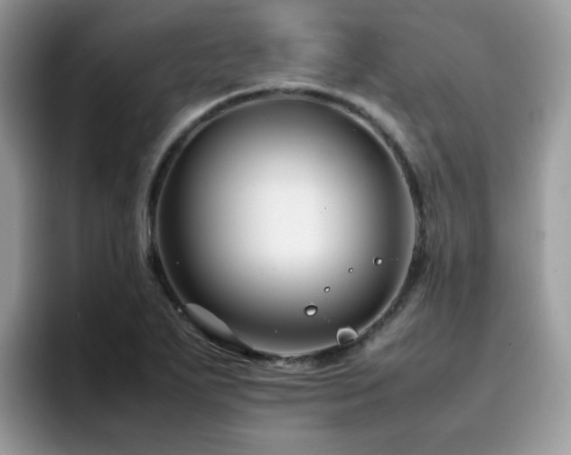 X0000094951271200711291406