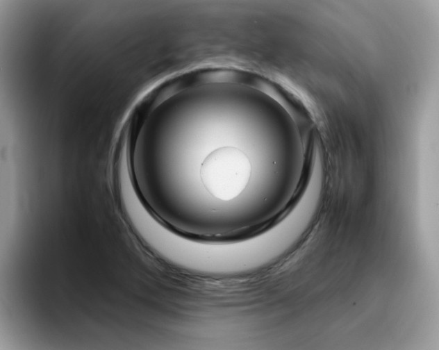X0000094951272200711291406