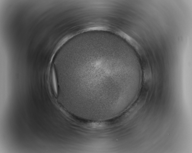 X0000094951274200711291406
