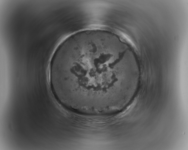 X0000094951275200711291406