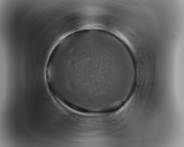 X0000094951277200711291406
