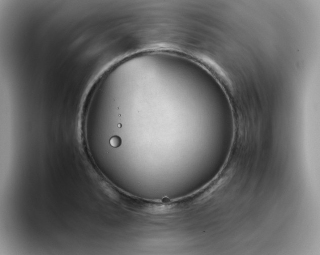 X0000094951278200711291406
