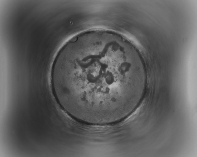X0000094951279200711291406