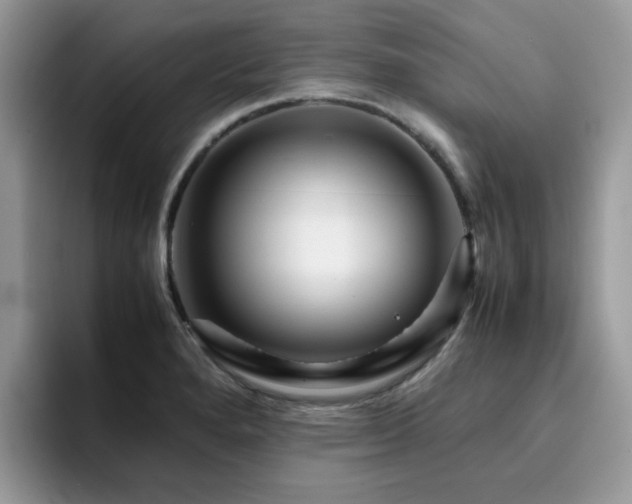 X0000094951280200711291406