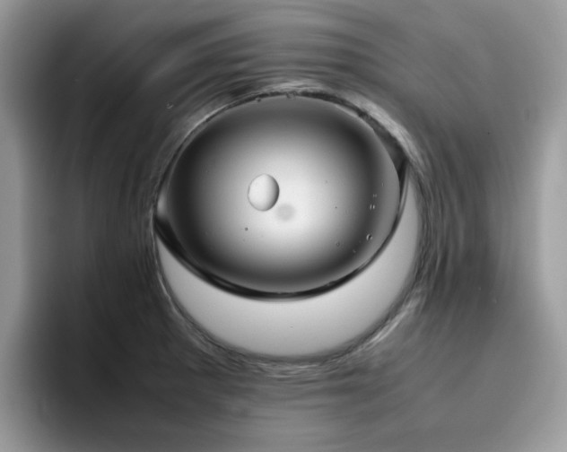 X0000094951281200711291406