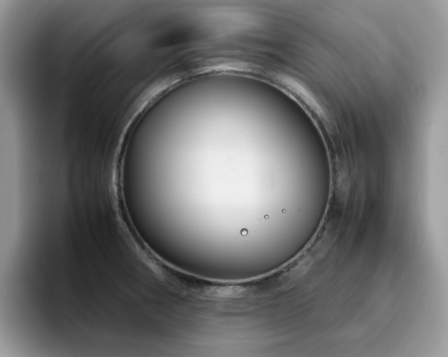 X0000094951282200711291406