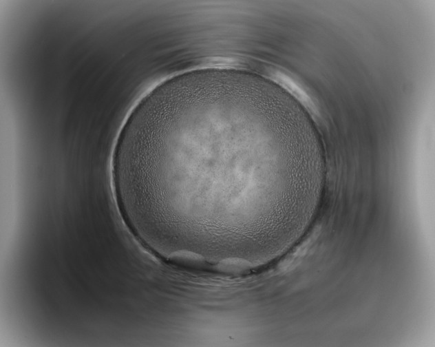 X0000094951283200711291406