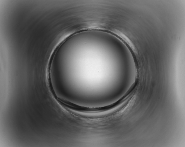 X0000094951285200711291406