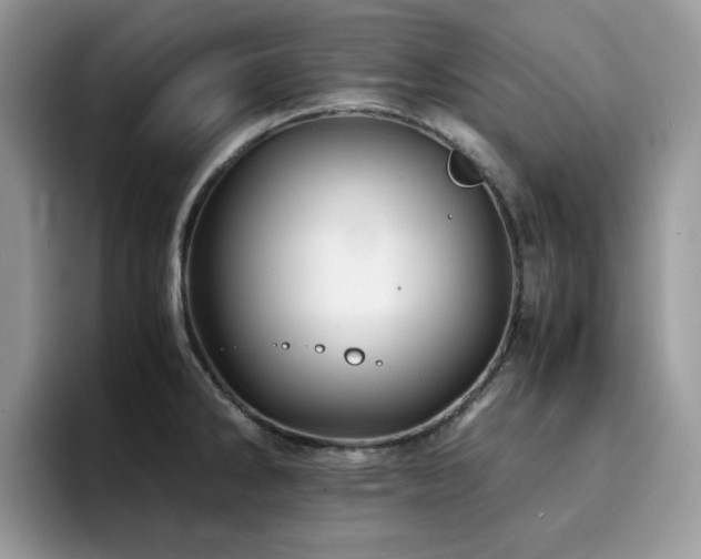 X0000094951286200711291406