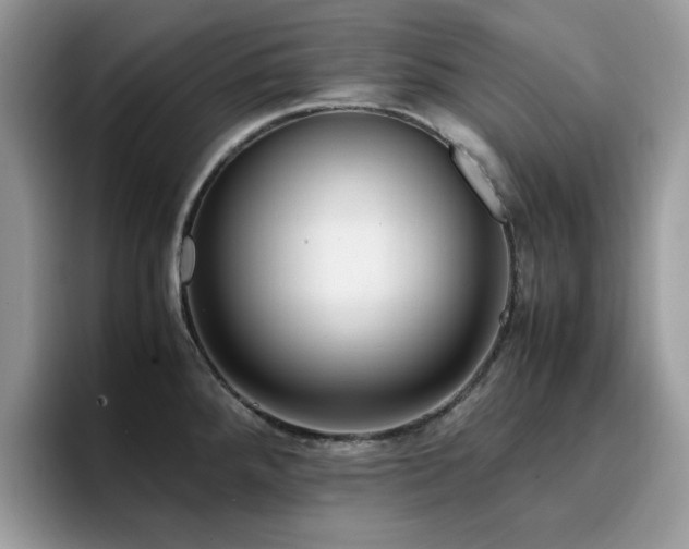 X0000094951288200711291406