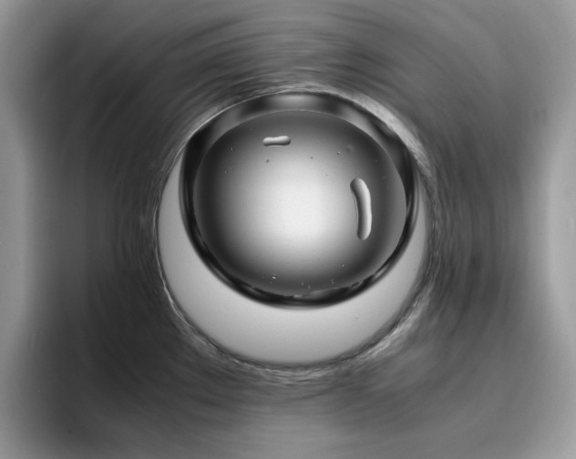 X0000094951289200711291406
