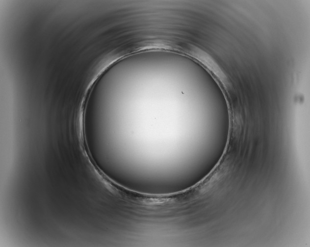 X0000094951290200711291406