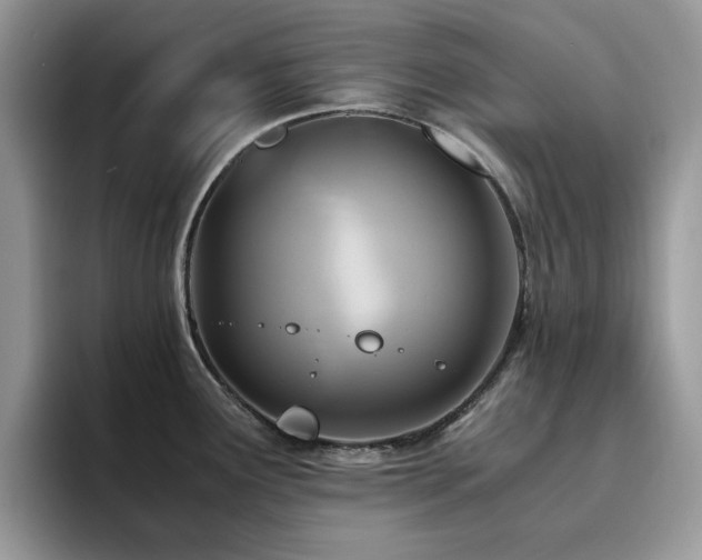 X0000094951291200711291406