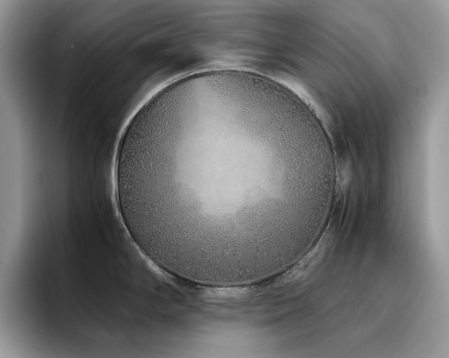 X0000094951294200711291406