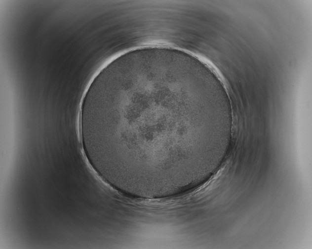 X0000094951295200711291406