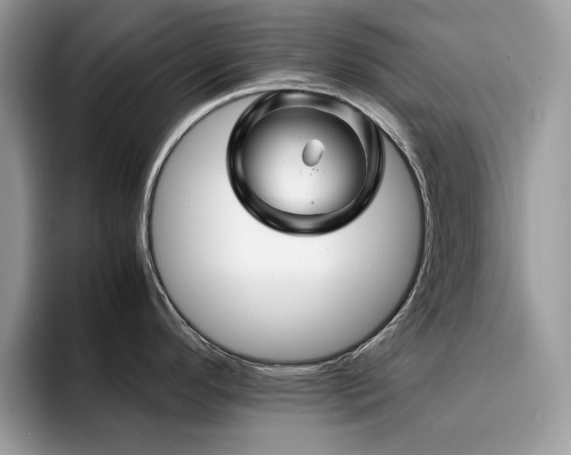 X0000094951296200711291406