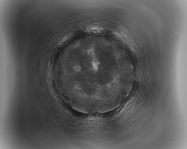 X0000094951297200711291405