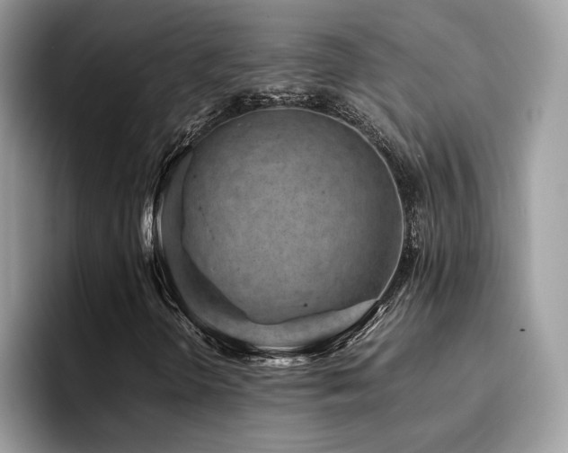 X0000094951298200711291405
