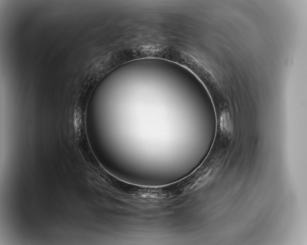 X0000094951299200711291405