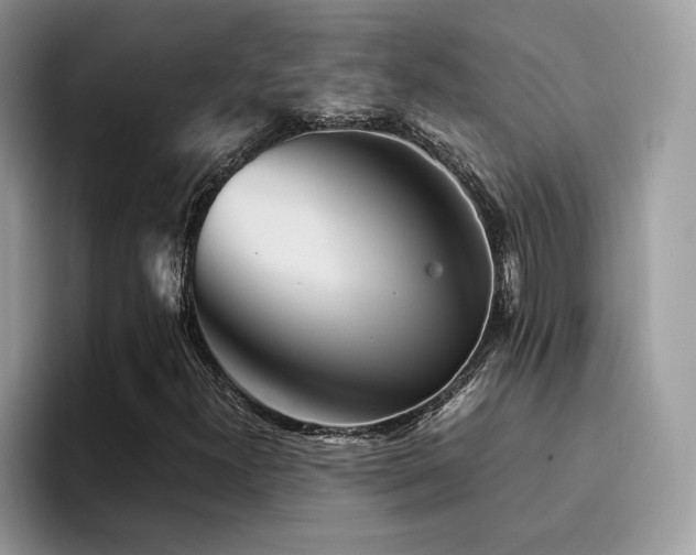 X0000094951300200711291405