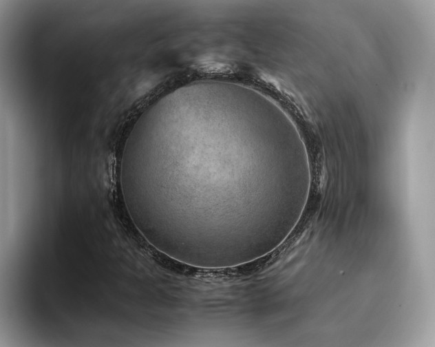 X0000094951301200711291405