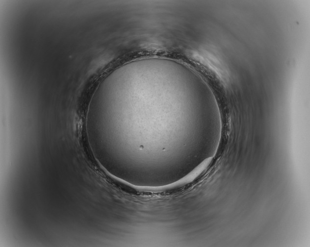 X0000094951302200711291405