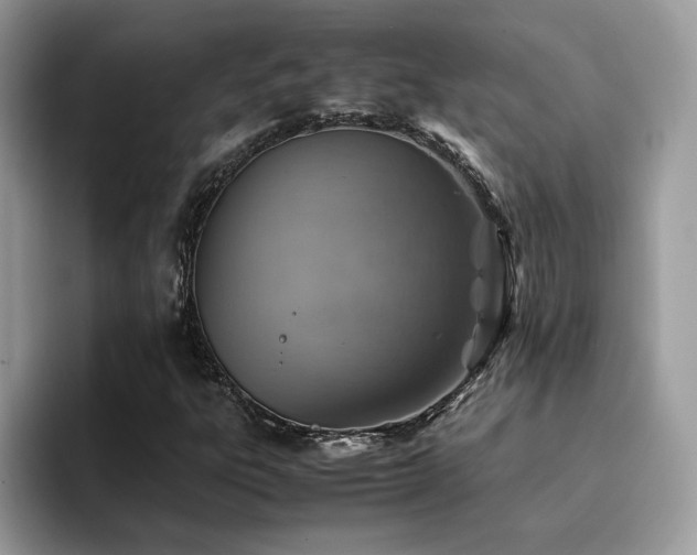 X0000094951303200711291405