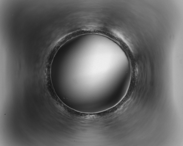 X0000094951304200711291405