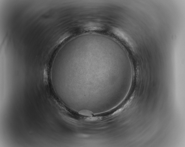 X0000094951305200711291405