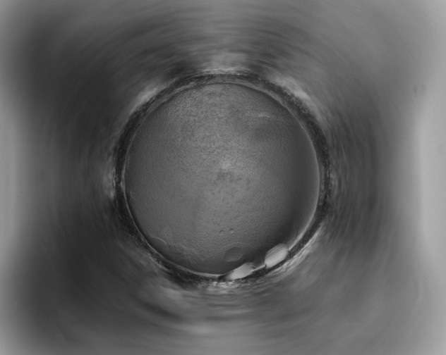 X0000094951306200711291405