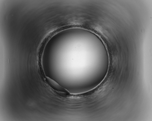 X0000094951307200711291405