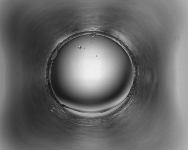 X0000094951308200711291405