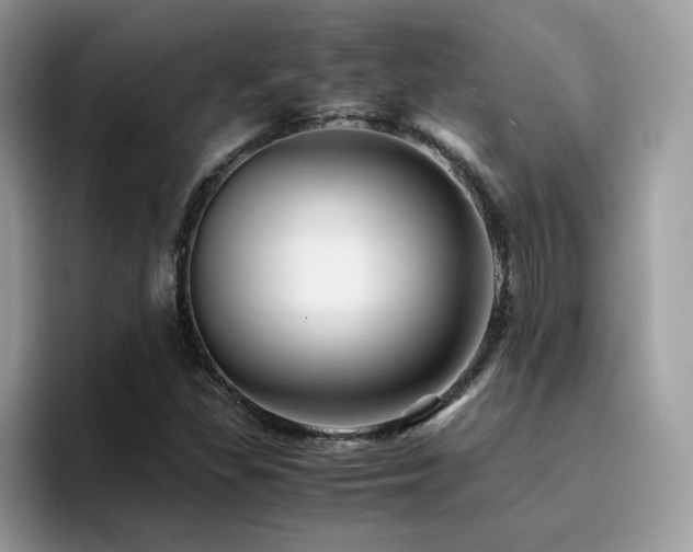 X0000094951309200711291405