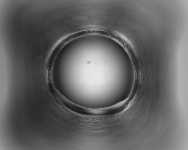 X0000094951310200711291405