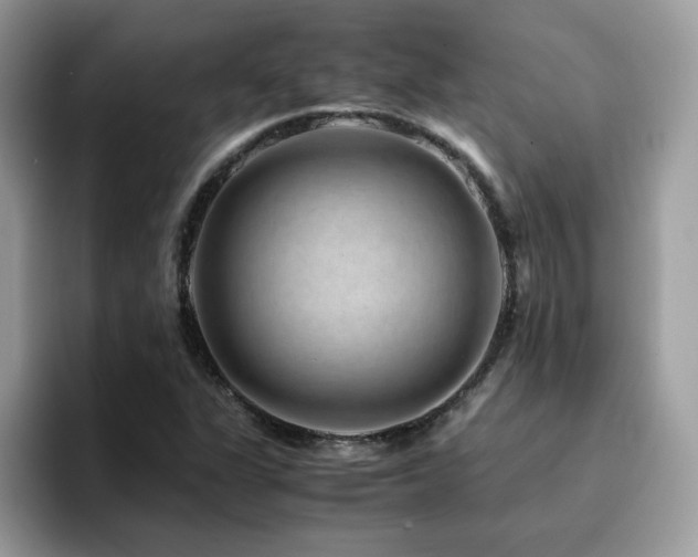 X0000094951311200711291405