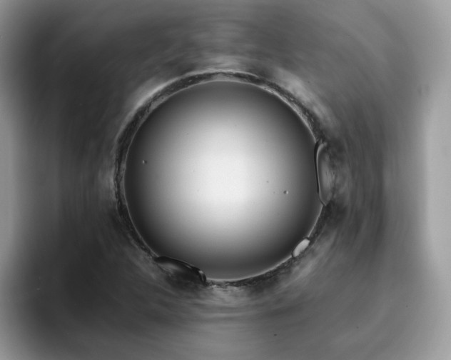 X0000094951312200711291405