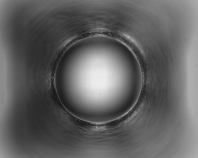 X0000094951313200711291405