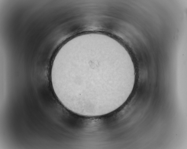 X0000094951314200711291405