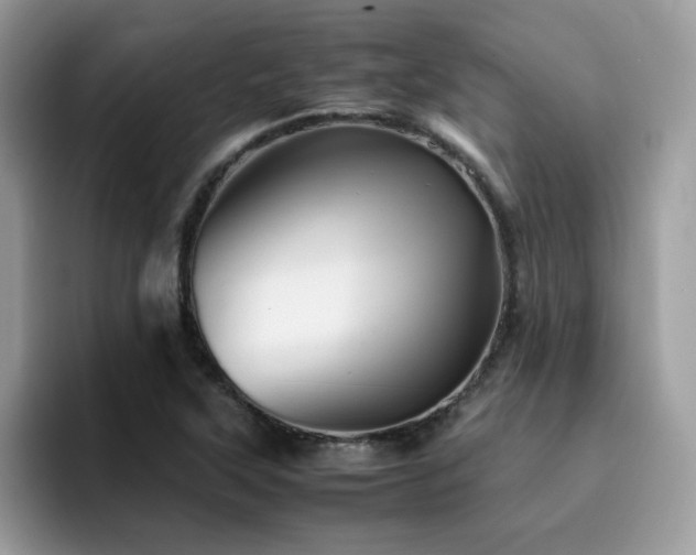 X0000094951315200711291405