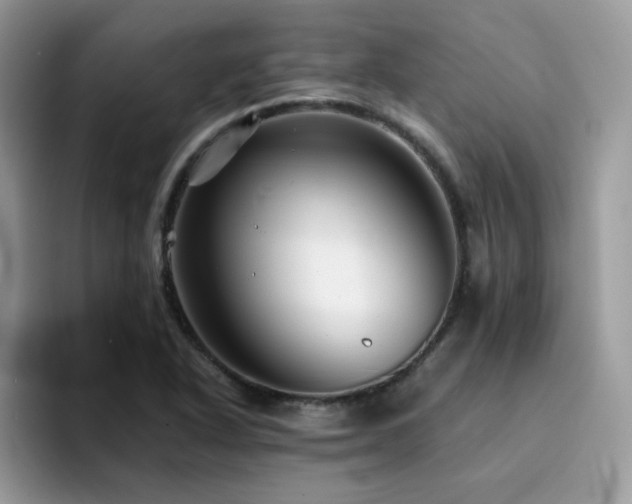 X0000094951318200711291405