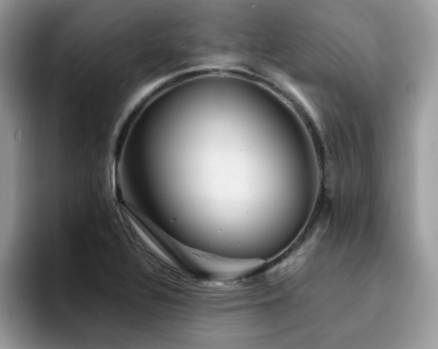 X0000094951320200711291405