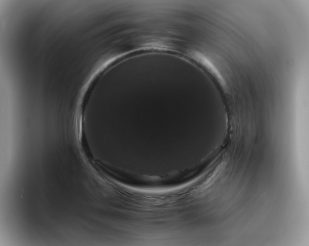 X0000094951323200711291405