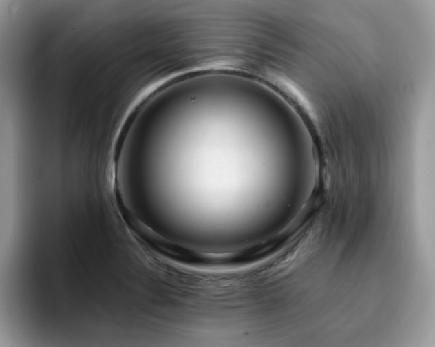 X0000094951324200711291405