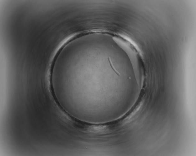 X0000094951325200711291405