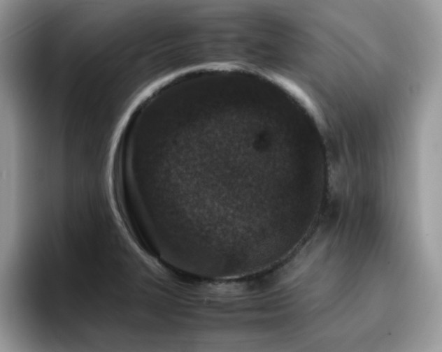 X0000094951327200711291405