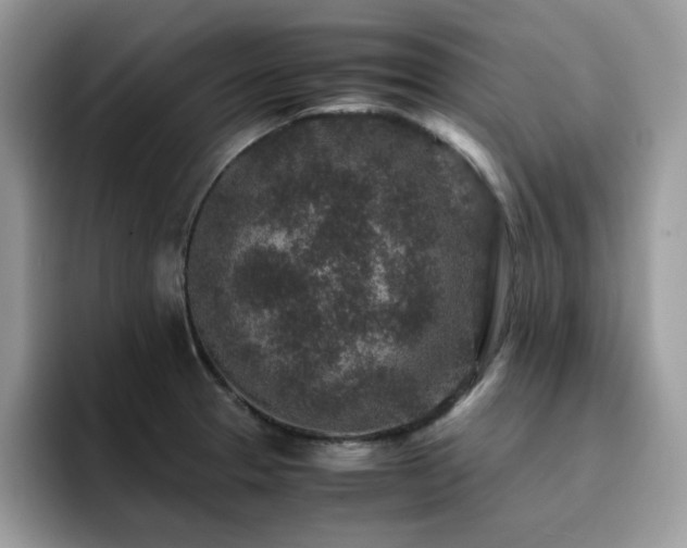 X0000094951329200711291405