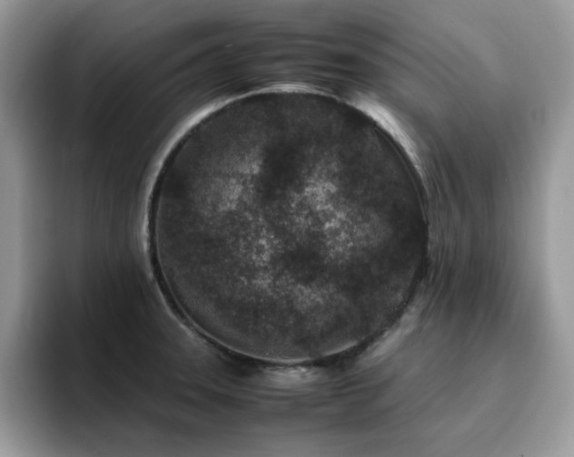 X0000094951331200711291406