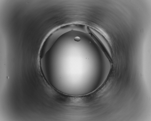 X0000094951332200711291406