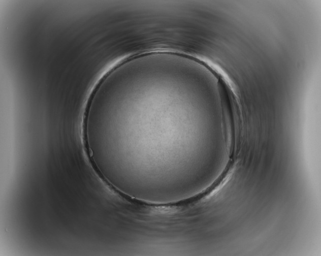 X0000094951333200711291406