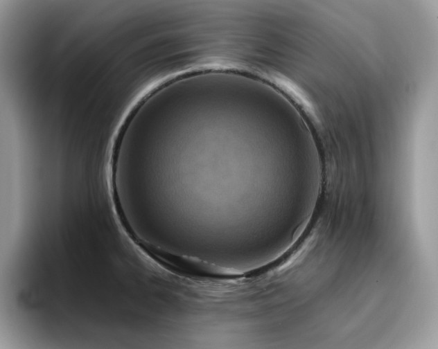 X0000094951334200711291406